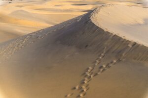 筑紫野エリアで上質な日帰り温泉の探し方は？