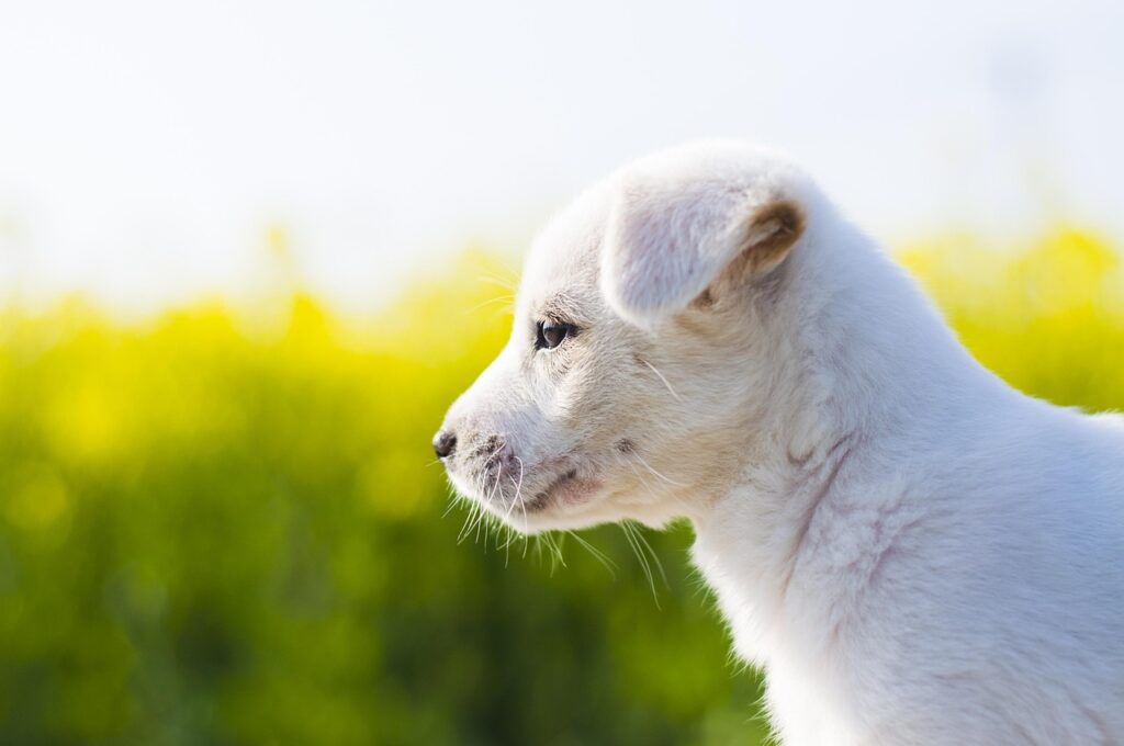 福岡の日帰り温泉で楽しむ自然の魅力とは？