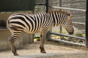 福岡の日帰り温泉の家族風呂は赤ちゃん何ヶ月から利用できる？