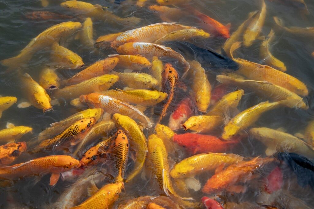 筑紫野の日帰り温泉が混雑する時間帯はいつですか？